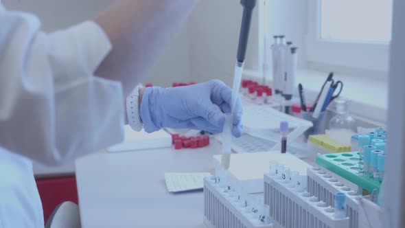 Scientist with a Pipette Analyzes a Colored Liquid To Extract the DNA and Molecules in the Test