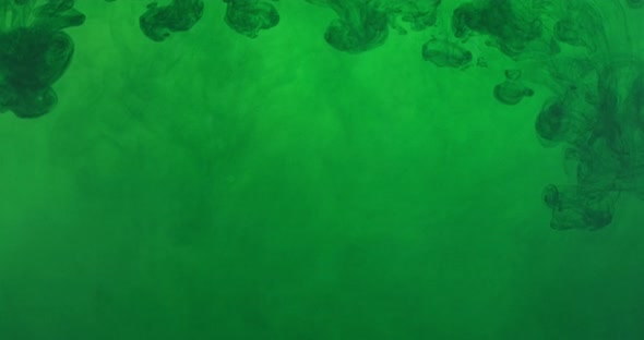 Green Color Paint Ink Drops in Water at White Background. Inky Cloud Flowing Underwater