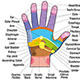 Hand Reflexology Chart Description - GraphicRiver Item for Sale