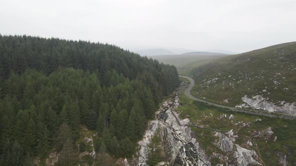 Dense Coniferous Trees And Beautiful Waterfall On The Mountains Of Wicklow In Ireland On A Calm Morn