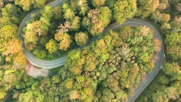 Timelapse of driving cars at an autumn forest in a double curve - traveling in the fall season.