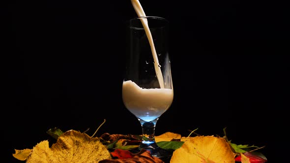 Pouring Fresh Milk in Glass with Autumn Leaves Decoration Studio Shot