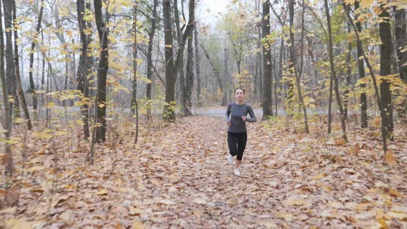 Attractive trained runner training in fall park. Female running workout in autumn forest. Front view