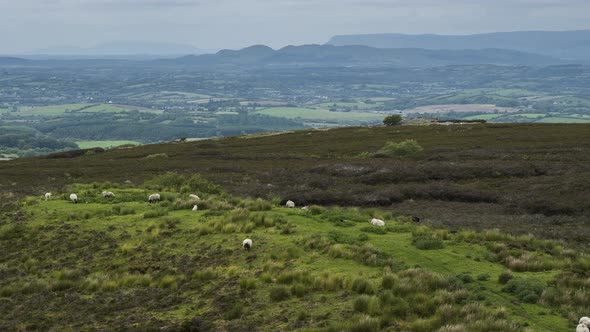 Time lapse of rural agricultural nature landscape during the day in Ireland. alt