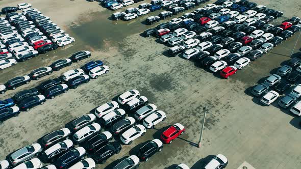 Car Dealer Parking Lot with Many Brand New Cars.