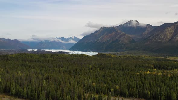 Aerial flyover at Portage valley over spruce forests towards mountains and snowcapped Portage Glacie