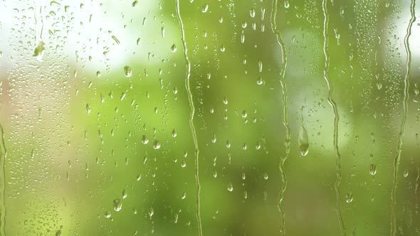 Water Rainfall Vertical Rain Drops Texture on Window Glass Blurred Green Trees