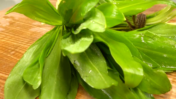 Wild garlic leaves on a wooden cutting board.