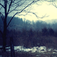 Snow Falling on Forest Trail - VideoHive Item for Sale