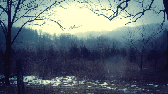 Snow Falling on Forest Trail alt