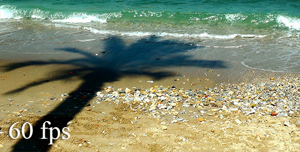 Shadow of Palm and Waves at the Beach 2 alt