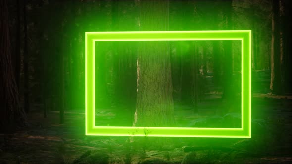 Neon Glowing Rectangle Frame in the Night Forest