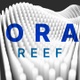 Coral: Reef (4in1) - 4K VJ Loop Pack - VideoHive Item for Sale