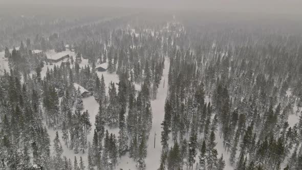 Winter Trail Snowy Forest Path Heavy Snowfall