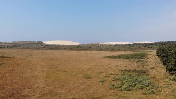 Aerial view of big dunes and greenery by the North Sea shoreline outside Løkken, Denmark