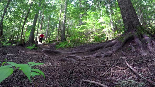 Woman riding unicycle in forest path