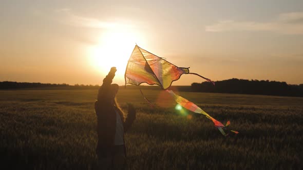 Pretty Girl Playing with Kite in Wheat Field on Summer Day. Childhood, Lifestyle Concept.