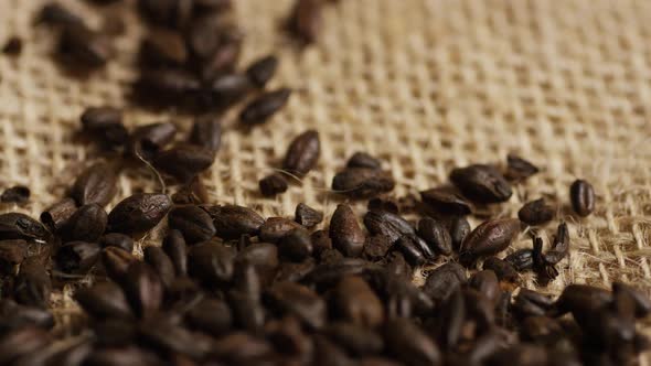 Rotating shot of barley and other beer brewing ingredients - BEER BREWING 203