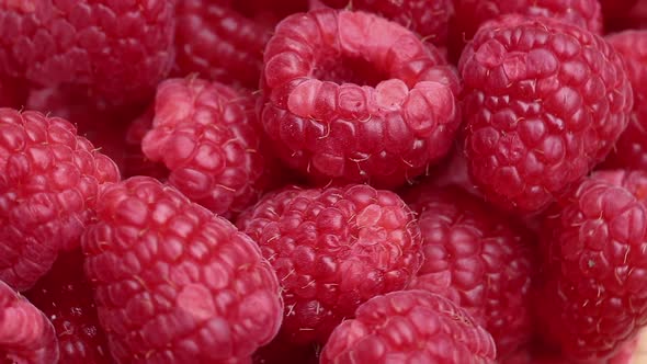 Fresh Raspberry