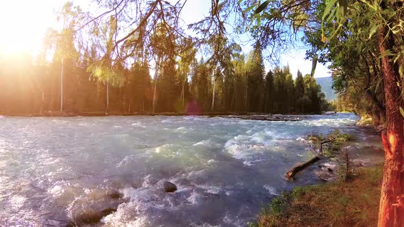 Meadow at Mountain River Bank. Landscape with Green Grass, Pine Trees and Sun Rays