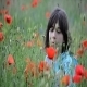 Little Girl Gather a Bouquet of Poppies 01 - VideoHive Item for Sale