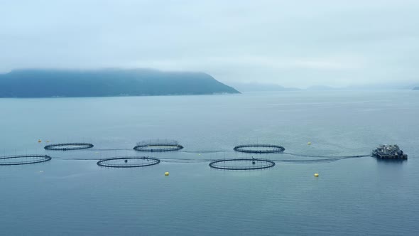 Farm Salmon Fishing in Norway