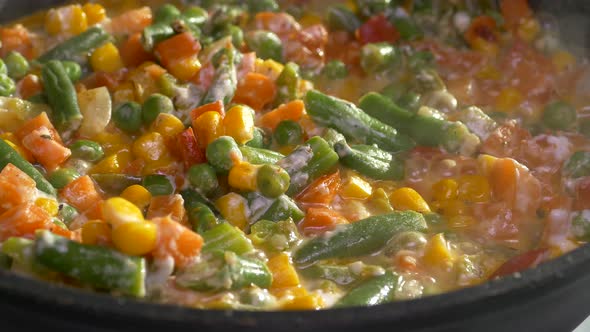 Vegetable Stew