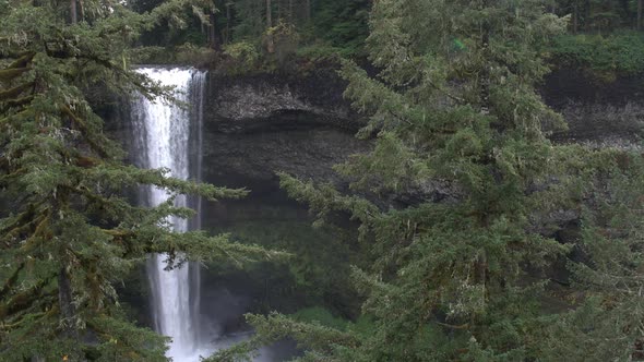 Aerial view of a waterfall through the pine trees