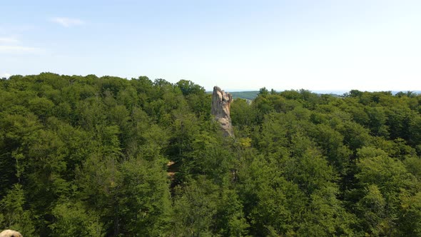 Aerial View of Dense Green Forest on Mountain Hills