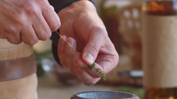 Hands of Male Chef Removing Leaves from Fresh Thyme