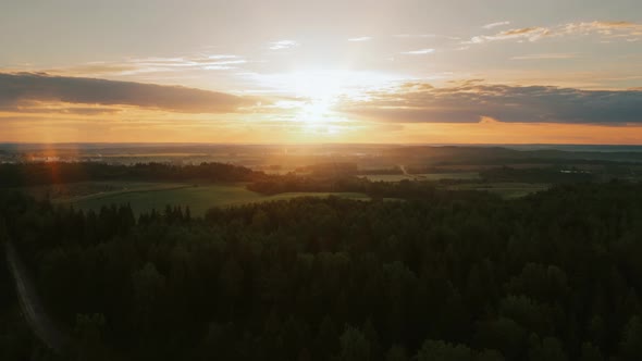 Aerial Timelapse Hyperlapse Summer Morning in Forest