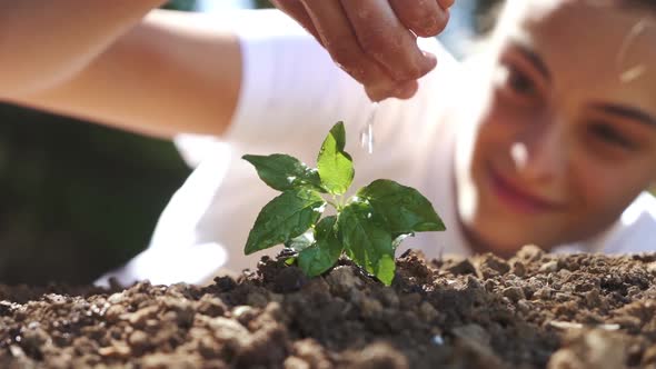 Watering A Plant 