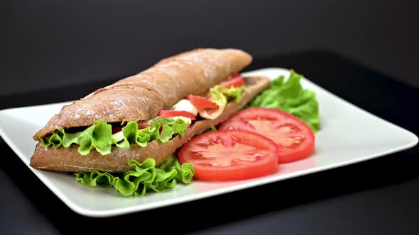 Tasty caprese panini sandwich in a plate on dark background
