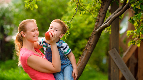 Mother Feeding Her Son With An Apple In The Garden