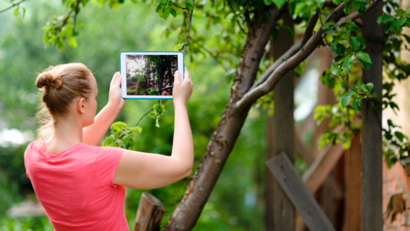 Young Woman Taking Pictures Of Nature Scenes