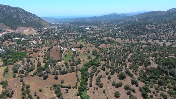 Sparse Orchard and Small Village Houses in Arid Hot Climate