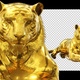 Lie Prone Gold Tiger - VideoHive Item for Sale