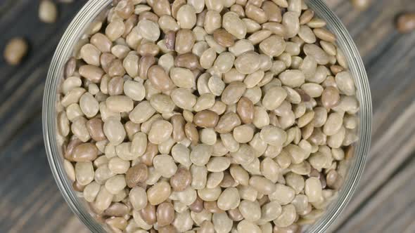 Castor Beans Rotation