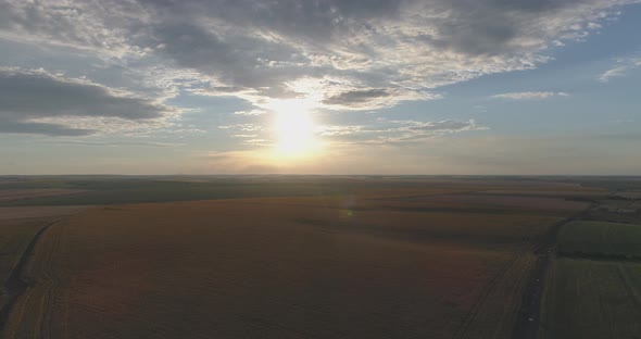 Aerial view of agricultural crops