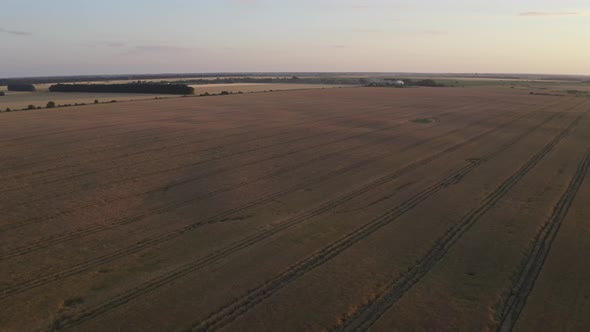 Summer Field View From Above