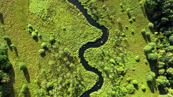 Top view of winding river and green swamps in Poland