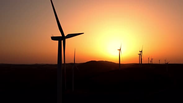 Windmills in a Field at Sunset