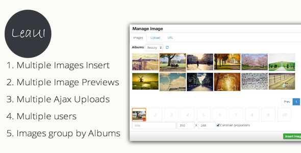 TinyMCE4  Album  Image Manager