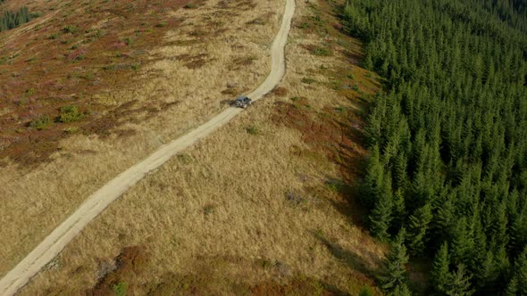 Aerial Mountain Road Car Among Big Natural Trees Growing Summer Sunny Day