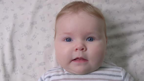 Happy Baby Is Looking at the Camera on the Background of a White Blanket