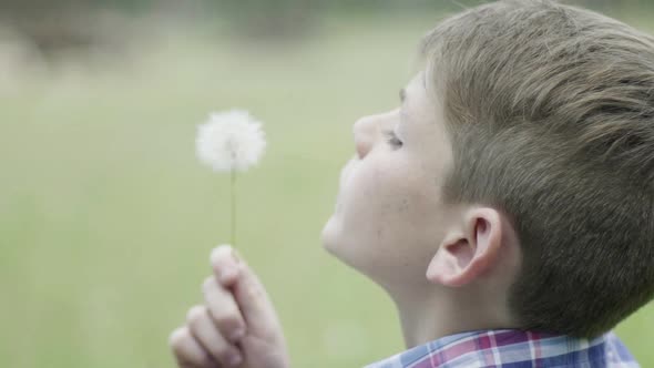 Boy blowing dandelion seedhead, slow motion