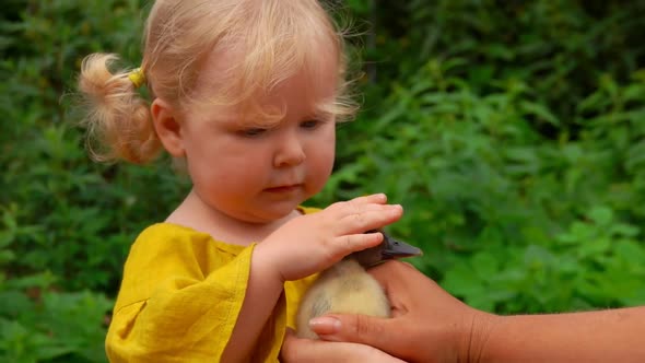 Little Girl Gets Scared When the Duckling Turns