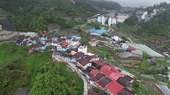 Cameron Highlands, Pahang Malaysia