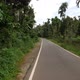 Single lane road passing through forest in India - VideoHive Item for Sale