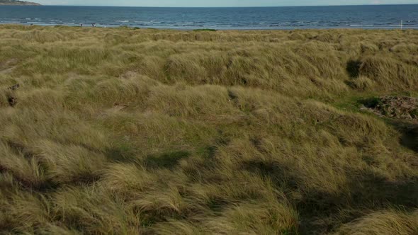 Aerial low view over marram grass anchored dunes.